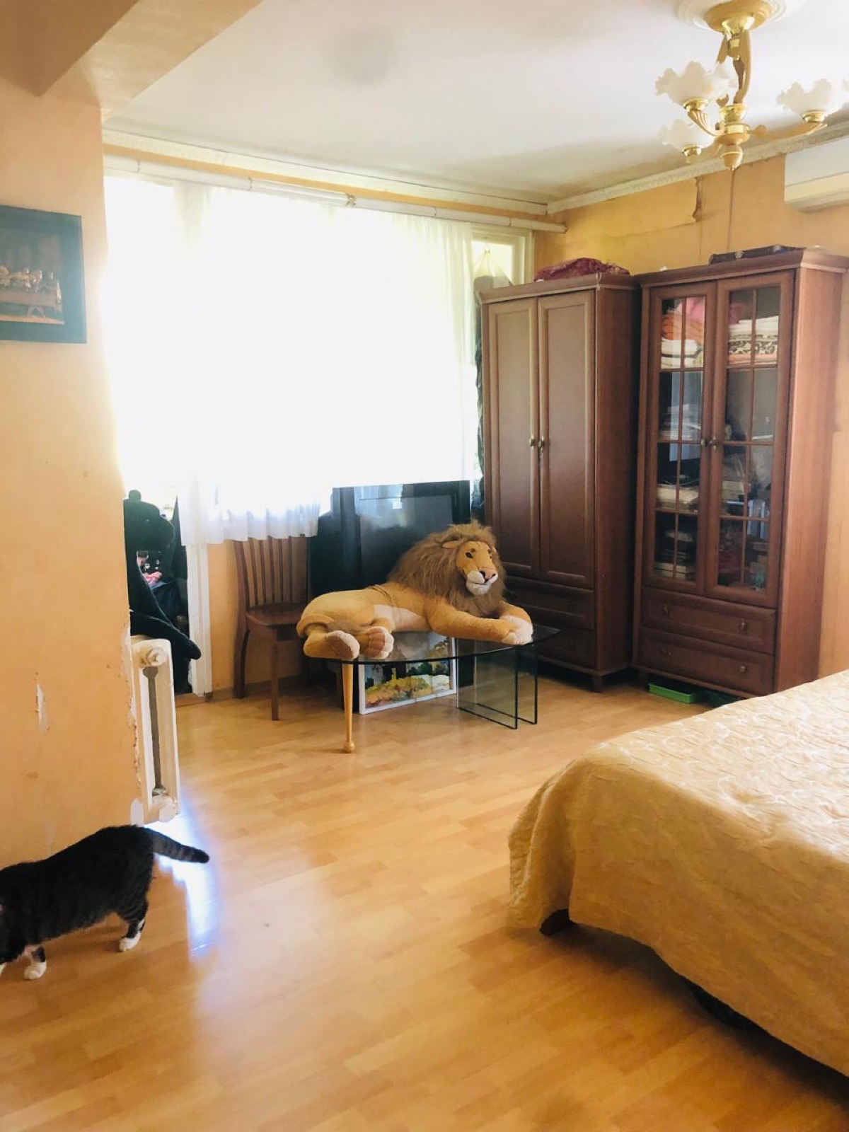 1-комнатная квартира 36 м2 на Донской, 29Б — фото 5